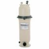 Pentair EC-160354 CC100RP Clean & Clear Cartridge Filter