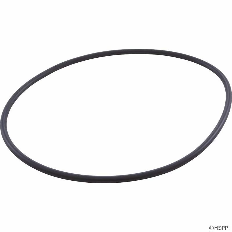 Hayward SPX4000T Northstar Seal Plate O-Ring
