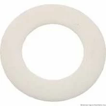 Pentair Filter Valve Handle Washer 271157
