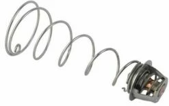 Pentair 460924 Regulator Kit For MasterTemp Heater ASME