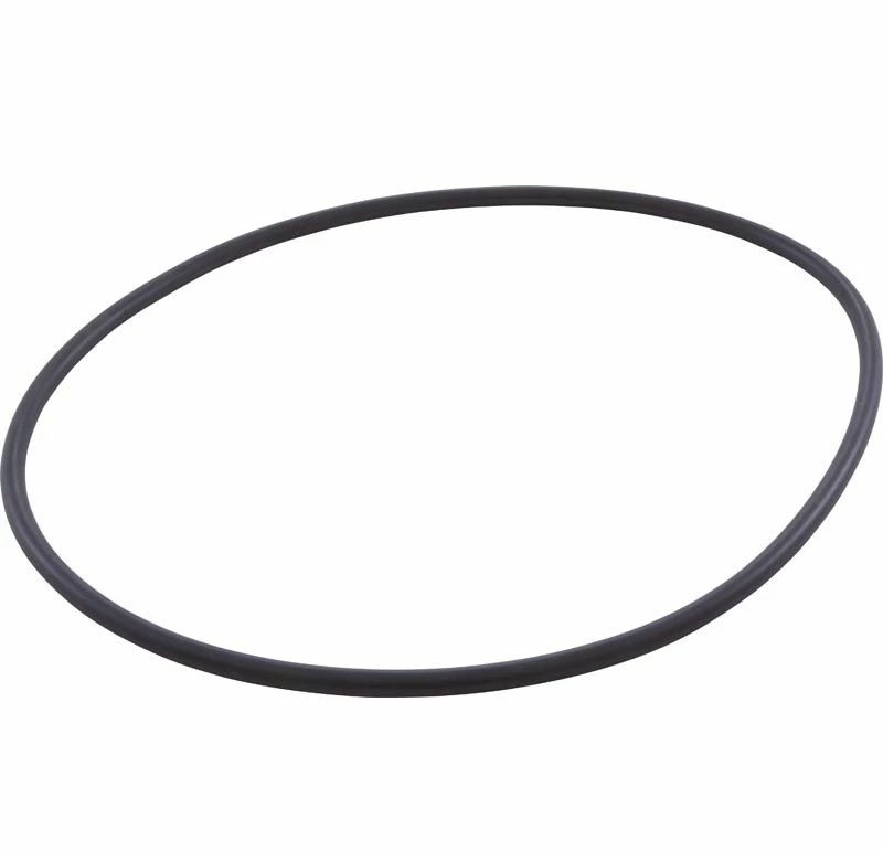 Hayward SPX4000T Northstar Seal Plate O-Ring - Image 2